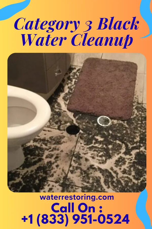 Category 3 Black Water Cleanup in Manville, SC