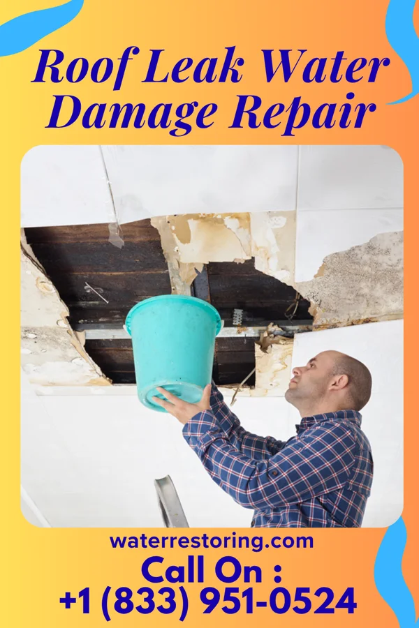 Roof Leak Water Damage Repair in Manville, SC